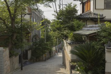 The juxtaposition of old and new makes this particular road and interesting place to walk
