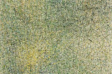 Miyuki Yokomizo Exhibition 2021-2022