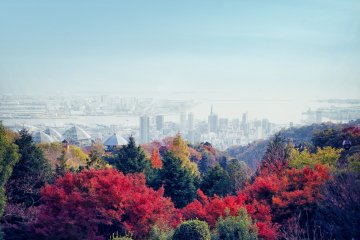 Autumn Garden Fest 2024