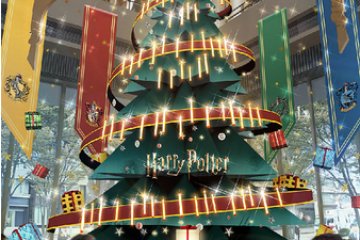 Tree of Hogwarts Magic