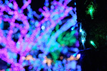 5 Festive Season Activities in Tokyo