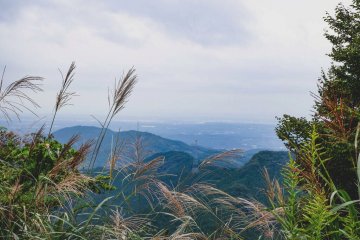 Great view (Photo by Susann Schuster)