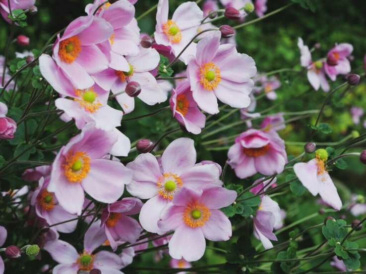 Beautiful nature everywhere (Photo by Susann Schuster)
