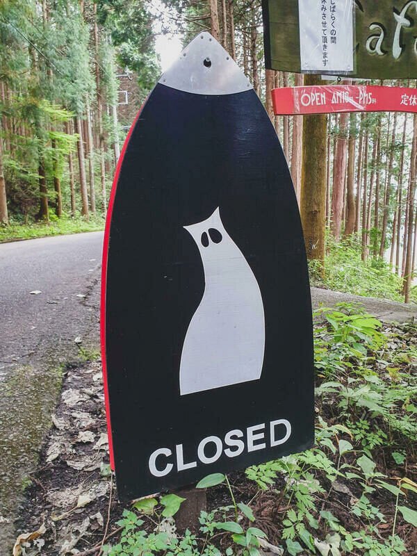 Is it a good sign? (Photo by Sebastian Schuster)