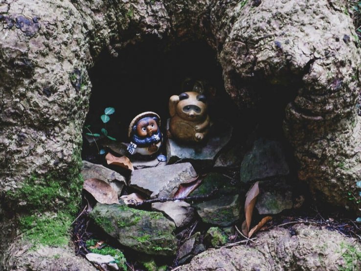 You find secrets everywhere (Photo by Susann Schuster)