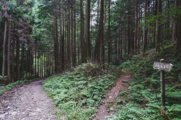 Which is the right way? (Photo by Susann Schuster)