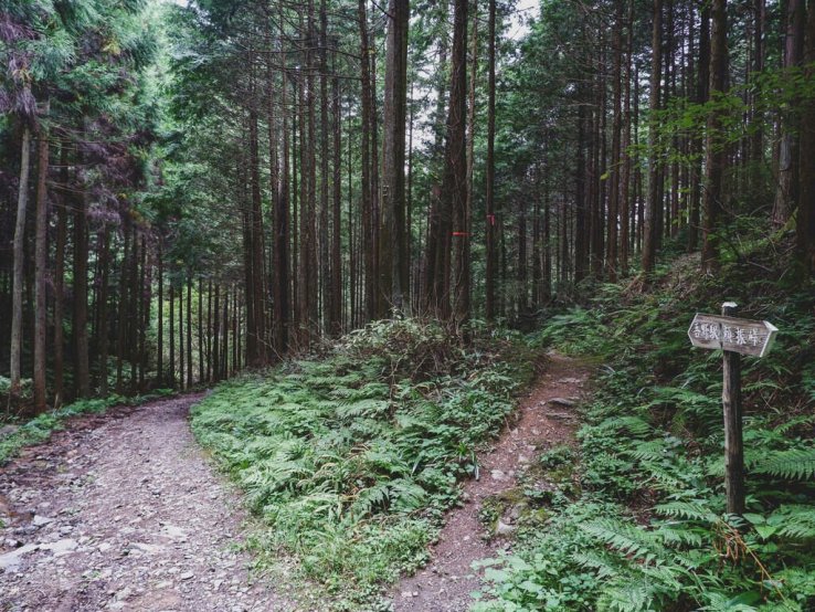 Which is the right way? (Photo by Susann Schuster)