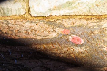 Image in stone of dragon