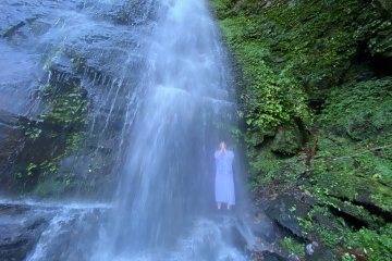 Waterfall Hike and Meditation with Ancient Roots 