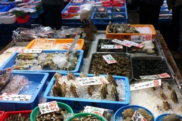 Fish R Us