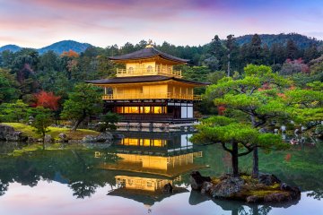 A surreal golden view