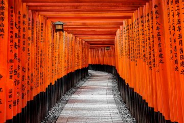 Senbon Torii