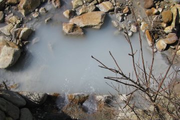 Mineral water of a hot spring