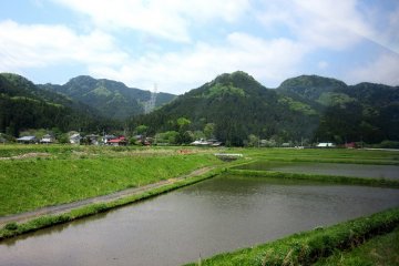 Rice fields in the mountains