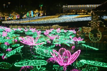 Beautiful lotus-shaped illuminations