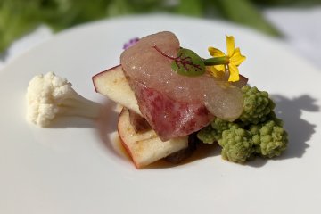 Millefeuille of roasted wagyu sirloin and apple,  followed by (below, L-R): grilled beef with salted koji and sautéed apple, consomme soup, wagyu/apple burger, slow cooker baked apple