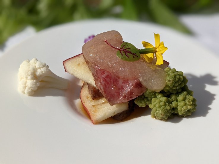 Millefeuille of roasted wagyu sirloin and apple,  followed by (below, L-R): grilled beef with salted koji and sautéed apple, consomme soup, wagyu/apple burger, slow cooker baked apple