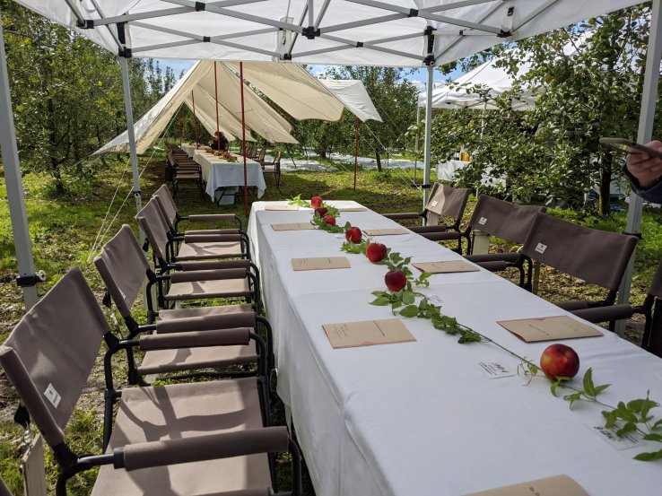 Dining under the apple trees