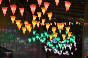 Winter Prism of Light 2021-2022