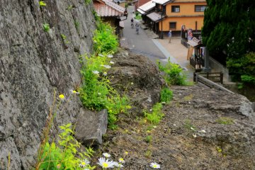 A look down the main street from Kanzeonji Temple
