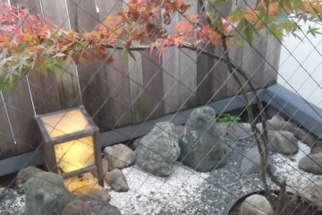 The tiny garden by the bathroom