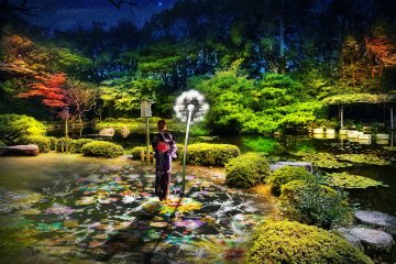 The illuminations take place at various areas across the shrine grounds
