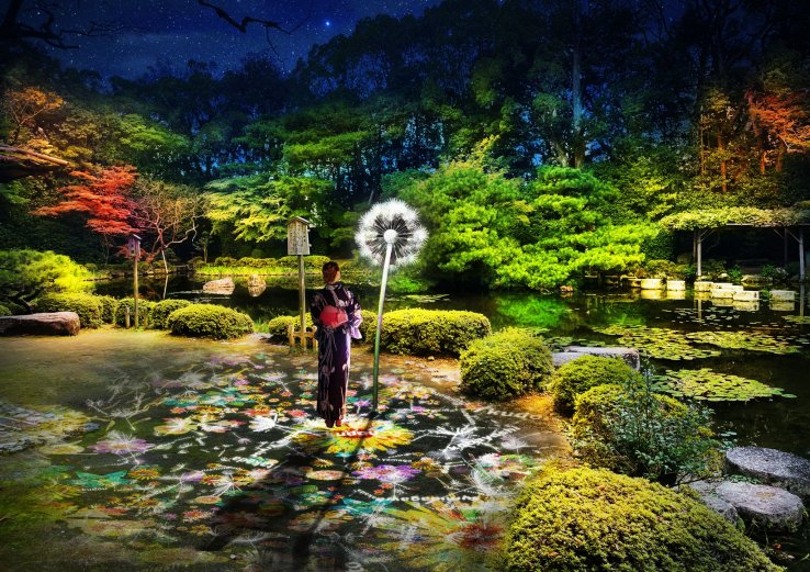The illuminations take place at various areas across the shrine grounds