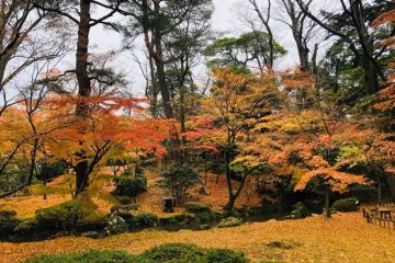 The falling leaves are a stunning look