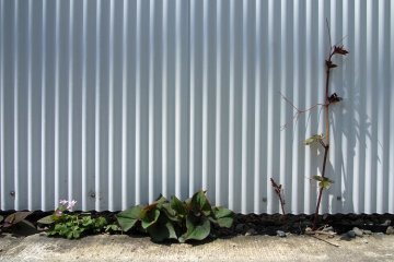 Individual creativity in Musashino City