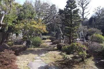 A view of the garden from the neighbouring museum annex