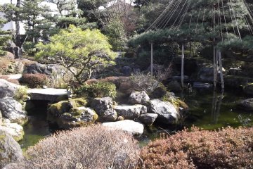 The stream and pond in the garden