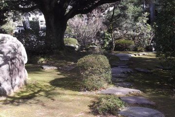 In the garden