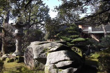 The relaxing garden