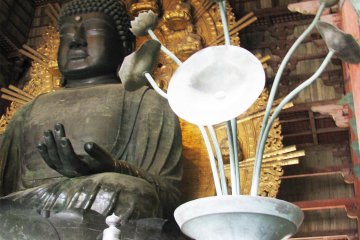 Buddha sits within the lotus flower