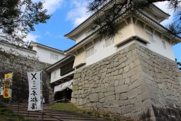 The reconstructed front gate