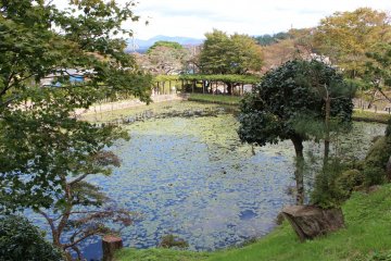 The main garden pond seen from above