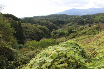 The green mountains will turn a snowy white in winter