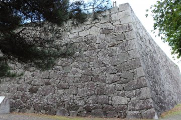 Looking up towards the summit of the castle park