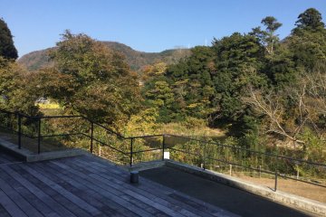 The deck