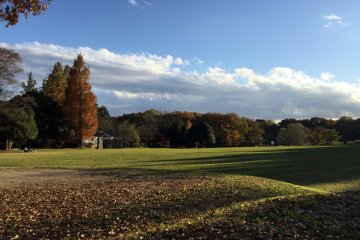 Vistas unmarred by modernity