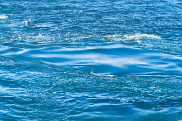 Whirlpool