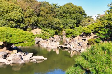 The beautiful garden