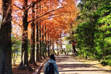 Exit walkway of Central Park, Tokushima