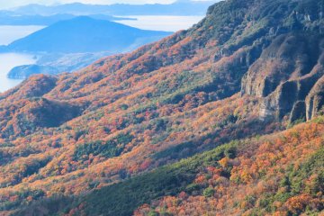 Fall colors