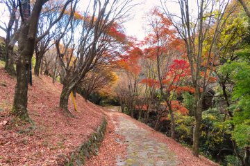  Hiking trail from top of ropeway