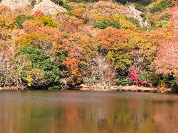  Inotani Pond