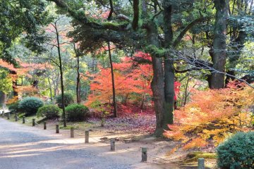 Near the North Gate