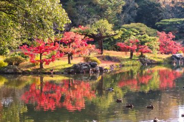 North Garden Fuyo-sho.