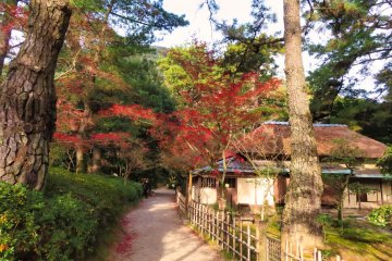Higurashi-tei thatched roof tea house 1898