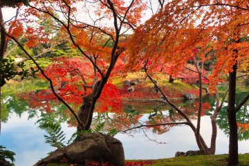 Nanko Pond reflection